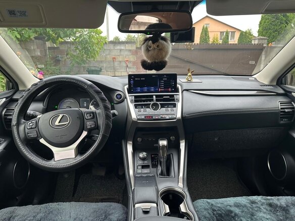 2019 Lexus NX 300h I Рестайлинг, серебристый, 3800000 рублей - вид 12