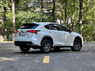 2020 Lexus NX 200 I Рестайлинг, белый, 2764000 рублей, вид 5