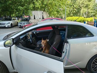 2010 Kia Cerato Koup II, серебристый, 950000 рублей, вид 1