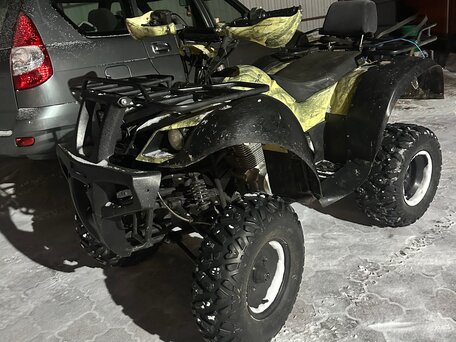 2021 Motoland ATV 250 Adventure, зелёный, 95000 рублей, вид 3