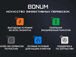2026 Bonum 914296-04, серебристый, 4670000 рублей, вид 2