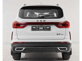 2024 SWM G05 Pro, белый, 1859000 рублей, вид 5