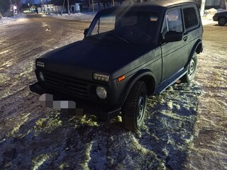 1988 Lada (ВАЗ) 2121 (4x4) I, серый, 230000 рублей, вид 1