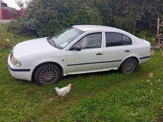 2002 Skoda Octavia I (A4) Рестайлинг, белый, 205000 рублей, вид 4