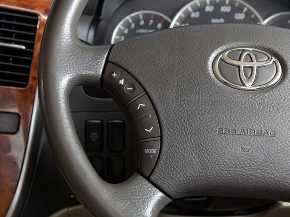2004 Toyota Alphard I, серый - вид 14