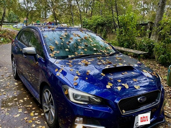 2015 Subaru Levorg I, синий, 1300000 рублей