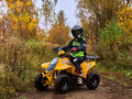 2023 Sharmax Cross, жёлтый, 67100 рублей