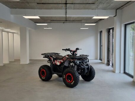 2026 Motoland ATV 150 Wild, чёрный, 199900 рублей, вид 2