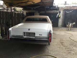 1982 Cadillac DeVille V, белый, 5000000 рублей, вид 3