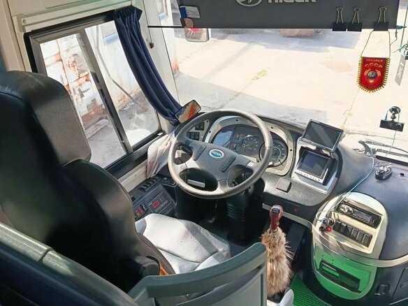 2018 Higer KLQ 6119, белый, 4900000 рублей - вид 8
