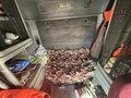 2003 Freightliner Columbia, фиолетовый, 1900000 рублей - вид 8
