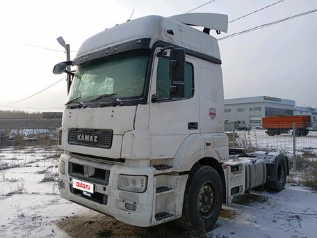 2015 КамАЗ 5490, белый, 1056250 рублей, вид 1