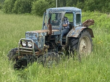 1992 ЛТЗ Т-40АМ, голубой, 250000 рублей, вид 1