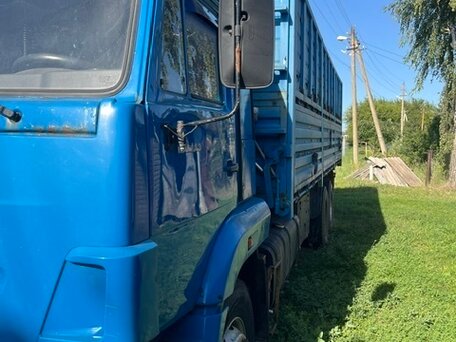 2012 КамАЗ 65117, синий, 1350000 рублей, вид 1