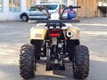 2026 Motoland ATV 110 Eagle, белый, 85400 рублей - вид 5