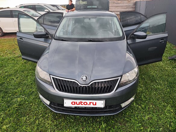 2014 Skoda Rapid I, серый, 780000 рублей - вид 1