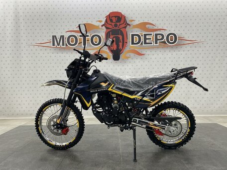 2025 Roliz Asterix, чёрный, 132000 рублей, вид 2