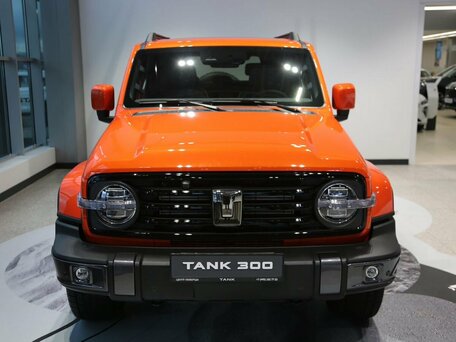 Tank 300 I
