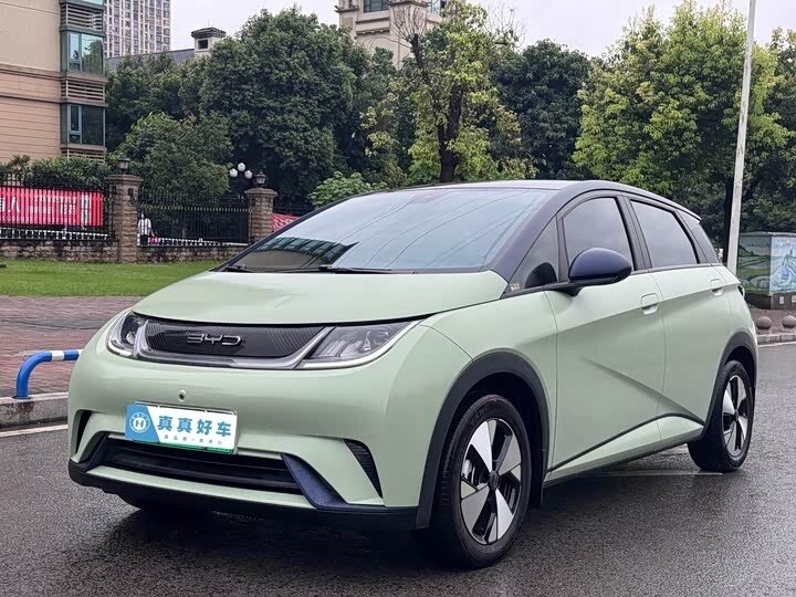 Открыть фотографии: BYD Dolphin I