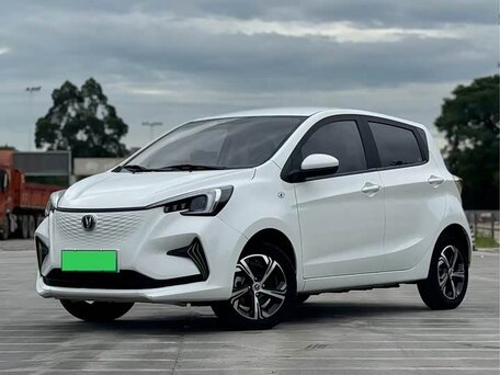 2022 Changan Benben E-Star 32 kWh, белый, 870000 рублей, вид 1
