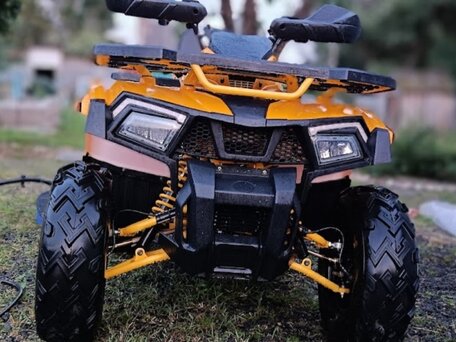 2023 Motoland Wild Track 200, жёлтый, 170000 рублей, вид 1