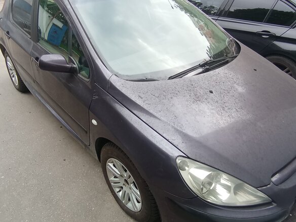 2004 Peugeot 307 I, фиолетовый, 200000 рублей