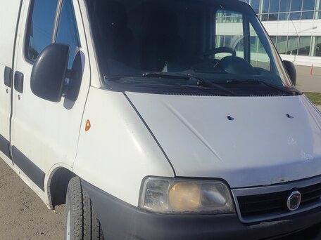 2008 Fiat Professional Ducato, белый, 850000 рублей, вид 1