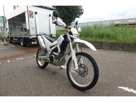2007 Yamaha WR250R, белый, 465000 рублей, вид 3