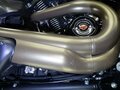 2019 Harley-Davidson FXDR 114, чёрный, 1999000 рублей - вид 9