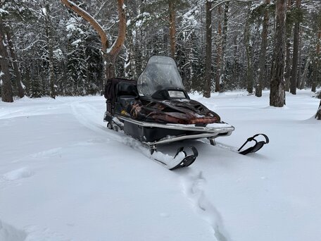 1998 BRP Ski-Doo Skandic 550, чёрный, 495000 рублей, вид 1