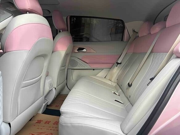 2023 Geely Geometry E 39.4 kWh, розовый - вид 12