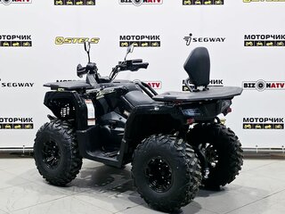2025 Bison 250U, чёрный, 309900 рублей, вид 3