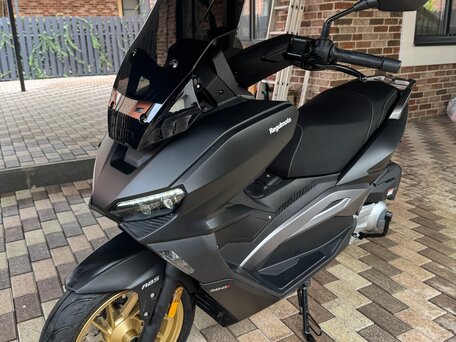 2025 Regulmoto Element 300, чёрный, 315000 рублей, вид 3