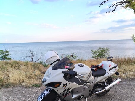 2002 Suzuki GSX 1300 R Hayabusa, белый, 450000 рублей, вид 5