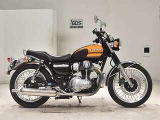 2016 Kawasaki W 800, оранжевый, 510000 рублей, вид 2