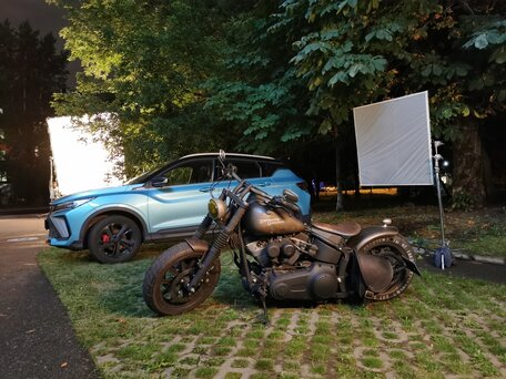 2007 Harley-Davidson Softail Custom, чёрный, 1200000 рублей, вид 2