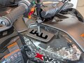 2026 Loncin XWolf 550, чёрный, 817000 рублей - вид 7
