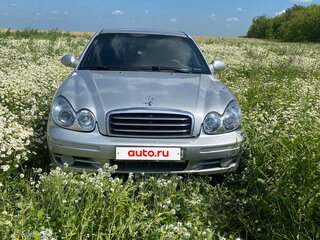 2004 Hyundai Sonata IV (EF) Рестайлинг, серебристый, 290000 рублей, вид 1