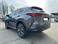 2023 Lexus NX 450h+ II, серый, 4084000 рублей - вид 10