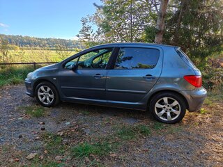 2006 Peugeot 307 I Рестайлинг, серый, 390000 рублей, вид 3