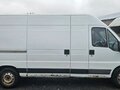 2008 Fiat Professional Ducato, белый, 740000 рублей - вид 3