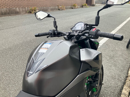 2024 Kawasaki Z 250, серый, 480000 рублей, вид 4