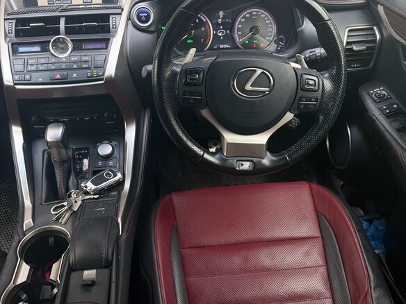2016 Lexus NX 300h I, белый - вид 13