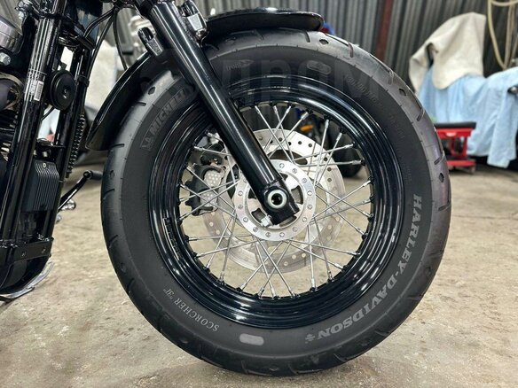 2014 Harley-Davidson Sportster 1200, белый, 1310000 рублей - вид 22