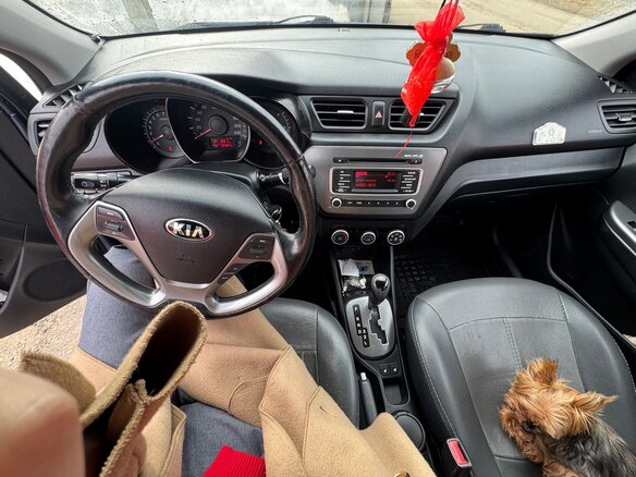 2016 Kia Rio III Рестайлинг, голубой, 1200000 рублей - вид 6