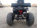 2021 Tiger Max Grade 300, чёрный, 210000 рублей - вид 1