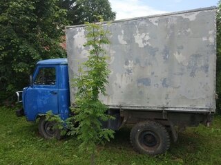 1992 УАЗ 3303, синий, 210000 рублей, вид 4