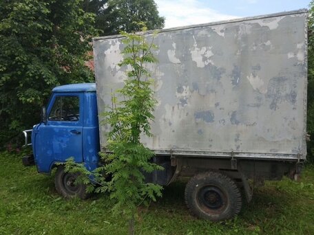 1992 УАЗ 3303, синий, 210000 рублей, вид 4