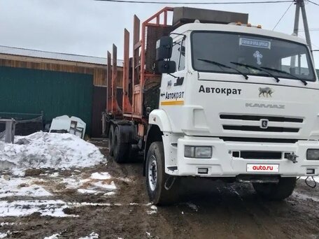 2015 КамАЗ 43118, белый, 4600000 рублей, вид 3