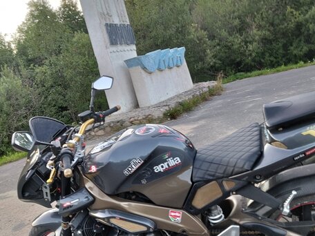 2003 Aprilia Tuono 1000, серый, 380000 рублей, вид 2